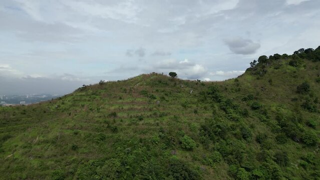 Aerial view Broga Hill grow with pennisetum polystachyon