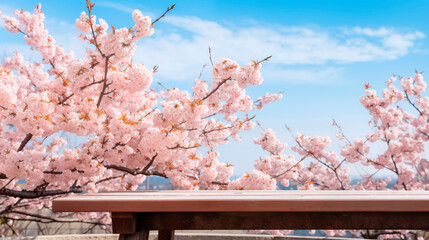 桜とテーブル - obrazy, fototapety, plakaty