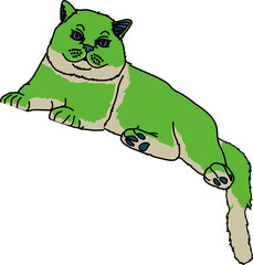 猫（cat）(PNG)