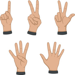 Set of Hands Showing Numbers. Vector Cartoon Hands Counting from One to Five. Vector illustration