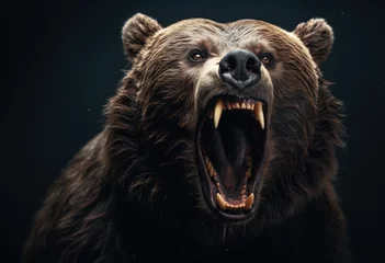 Wandcirkels aluminium US stocks, brown bears, bear market © lc design