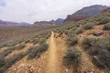 hiking the tonto trail in the grand canyon national park, arizona, usa