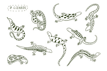 Collection of  lizard cartoon animal line design vector illustration.