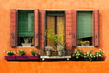 Fototapeta na wymiar beautiful windows with shutters, blinds and indoor flowers on an orange building in Venice