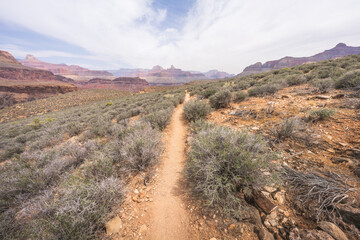 Obraz premium hiking the tonto trail in the grand canyon national park, arizona, usa