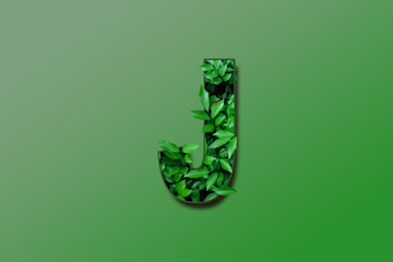 Leaf font J isolated on white green gradient background. Leafs font J made of Real alive leaves with Previous paper cut shape of font. Green climate concept.