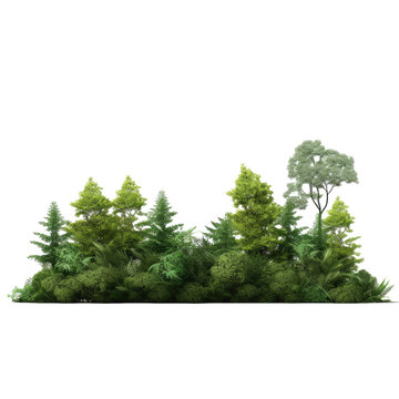 Green forest, landscape isolated on white or transparent background