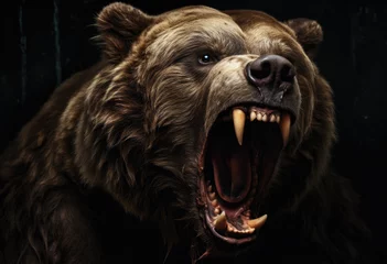 Fotobehang US stocks, brown bears, bear market © lc design