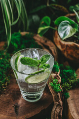 Close-up of gin tonic glass decorated with mint, ice cubes and lime wedges. Blurred background full of greenery