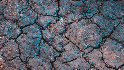 drought or cracks on the farm land texture