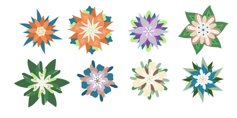 set collection of beautiful abstract flowers simple design element for decoration