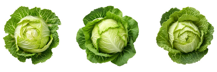 Set of green cabbage top view isolated on white or transparent background - obrazy, fototapety, plakaty