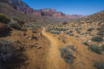 hiking the tonto trail in the grand canyon national park, arizona, usa