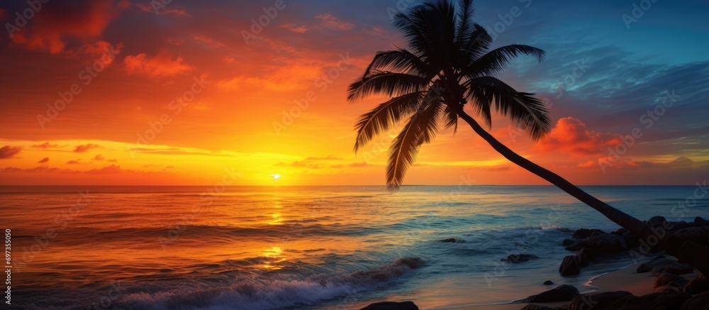 Wall mural palm tree silhouette during tropical sunset on ocean shore. - Wall murals
