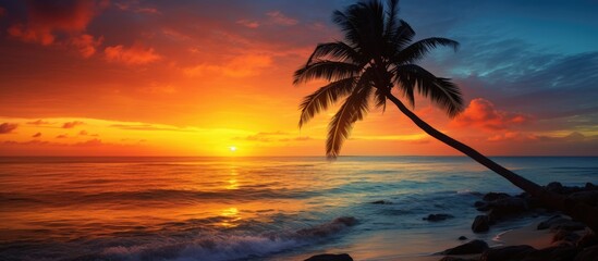 Palm tree silhouette during tropical sunset on ocean shore.