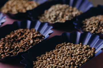 Various stages roasting of coffee beans showing from green through to brown italian roast, top view