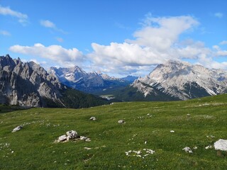 Alpine meadow in the Dolomites, South Tyrol, Italy