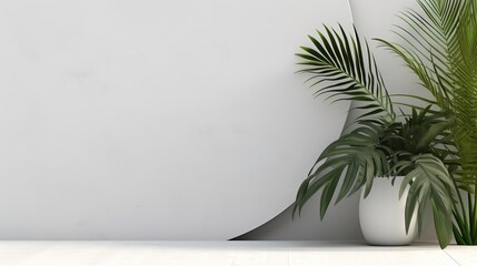 To display products in 3d rendering, use a tropical abstract background and a white wall.