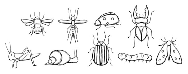 Set with insect in hand drawn doodle style © Yulia Zelinskaya