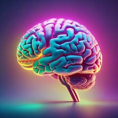 Multicolored Brain - 3D Illustration of a human brain painted in different colors - Science and technology, biotechnology and artificial intelligence concept - 697363006