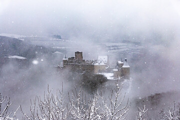 Fototapeta premium A frozen day in the northern of Luxembourg