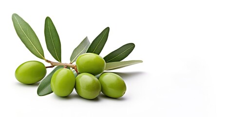 Fresh olives in photo on white background