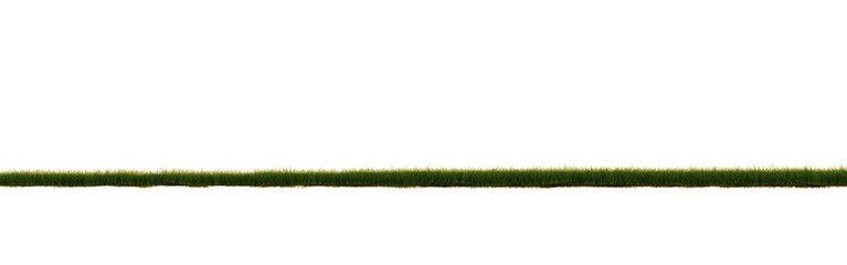 Green grass isolated on transparent background. 3D render.	
