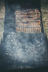 Meat is fried on the grill, barbecue is cooked on the fire