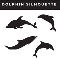 Elevate your designs with captivating vector silhouettes of Dolphin