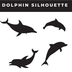 Elevate your designs with captivating vector silhouettes of Dolphin