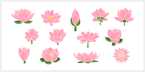 Foto op Canvas Doodle lotos rose flower with leaf clipart isolated Hand drawn cartoon nature Vector stock illustration EPS 10 © Iryna