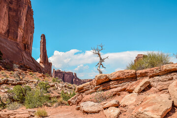 landscape of arches national park, moab, utah