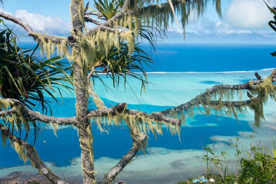 Polynesien