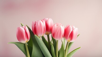 A stunning panorama of red, white, and pink tulips in spring nature is showcased on this card design for valentine's day.