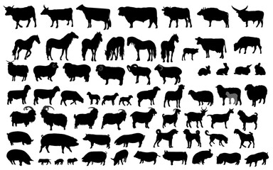 Collection of  domestic animal silhouettes. Vector illustration.	
