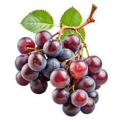 photo of bunch of grapes isolated on transparent background - obrazy, fototapety, plakaty