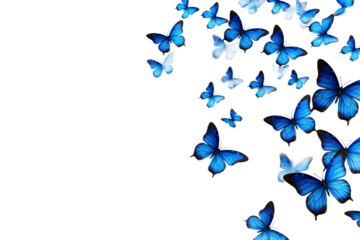 many butterfly flying isolated on transparent background
