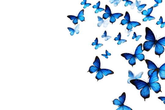 many butterfly flying isolated on transparent background - Powered by Adobe