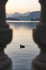 Luzern beim Sonnenaufgang beim Vierwaldstättersee, schöne Stimmung, Dampschiff, Pilatus Aussicht