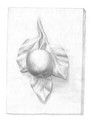 Pencil drawing gypsum apple on the piece of wall