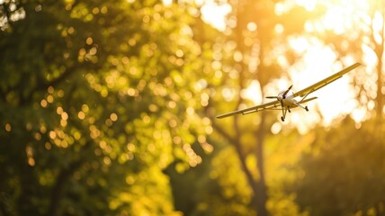 Remote-controlled model airplane flying in a sunlit park - obrazy, fototapety, plakaty