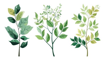 Four distinct types of leaves photographed on a plain white background. This versatile image can be used for various purposes