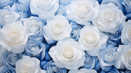 Obraz na płótnie Canvas Close-Up of Pristine White Roses on a Dreamy Blue Canvas, Background, White and white flowers