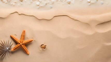 Fototapeta na wymiar Sandy beach and starfish. Top view with copy space