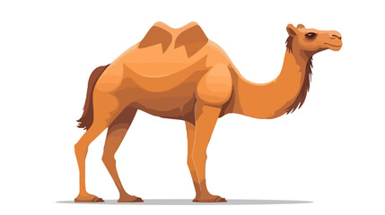 Cartoon camel in flat style isolated on white background