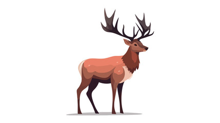 Vector Illustration of Deer isolated on white background