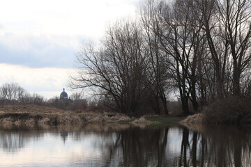 Fototapeta na wymiar trees on the river