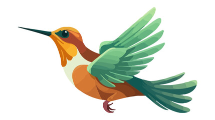 Obraz premium Hummingbird. Vector illustration isolated on white background