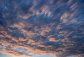 Naklejka na ściany i meble Clouds float across the dark blue evening sky