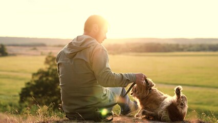 Cocker spaniel dog gives paw and rolls over playing with man owner in country field at sunset man...